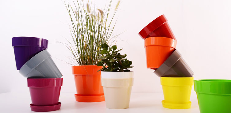 Select A Proper Flowerpot