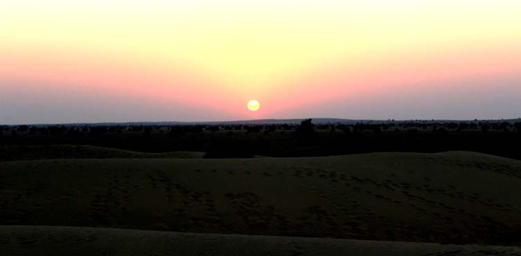 Thar Desert