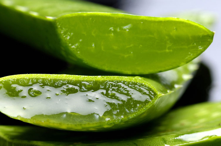 Use Aloe Vera - Skin Care Tips