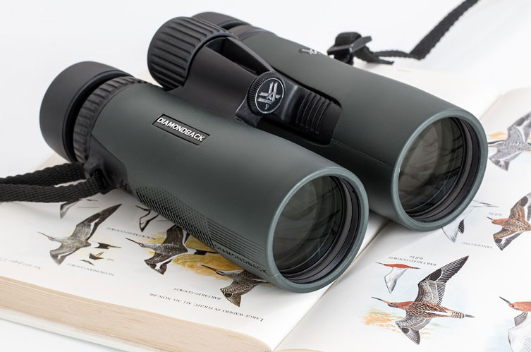 Gears For Bird Watching