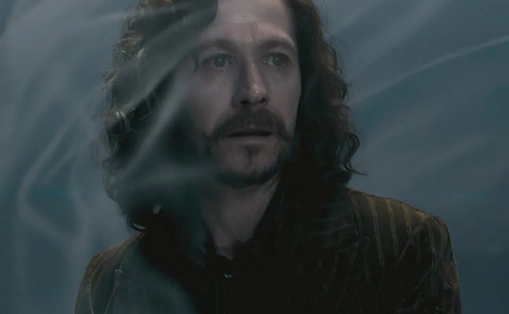 How Sirius Black Died