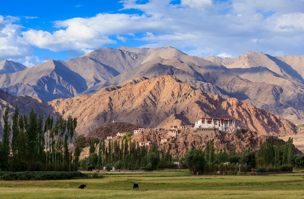 Stakna Monastery Gompa Leh