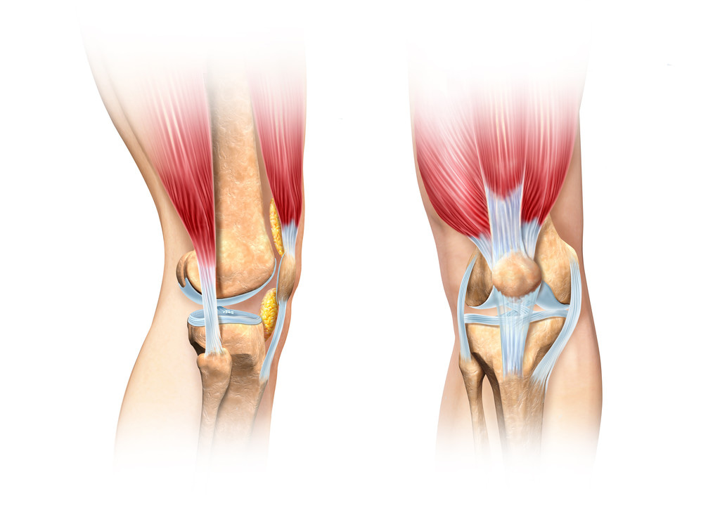 Symptoms Of Bow Legs