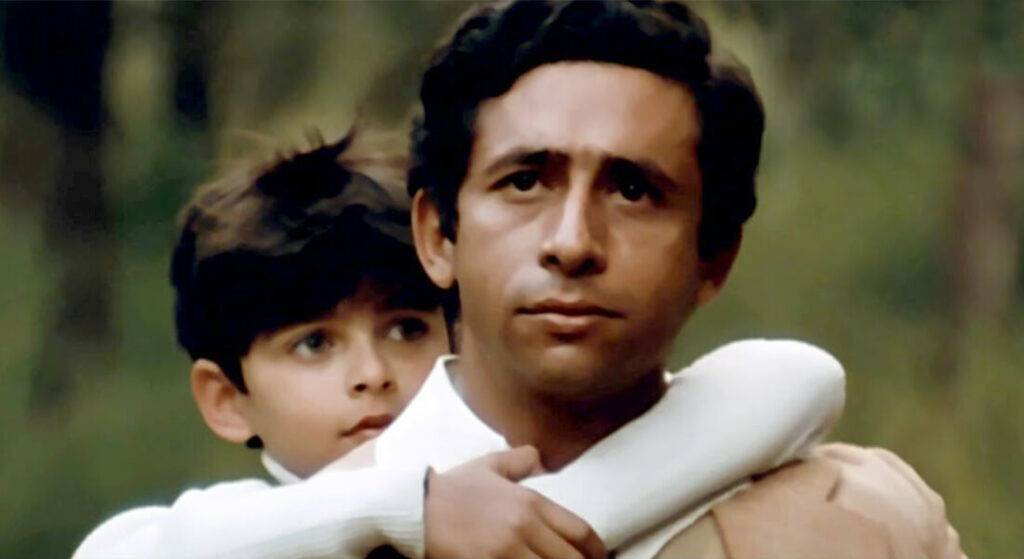 Naseeruddin Shah As D.k. Malhotra In Masoom